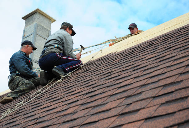 Quick and Trustworthy Emergency Roof Repair Services in Holland, TX