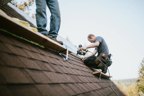 Quick and Trustworthy Emergency Roof Repair Services in Holland, TX